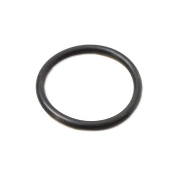 O-RING .210 DIA