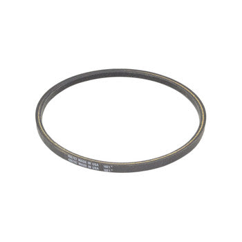 BELT, TRANS